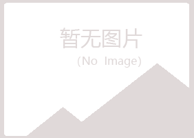 宁夏白山出版有限公司